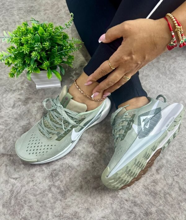 acg gris ACG FE