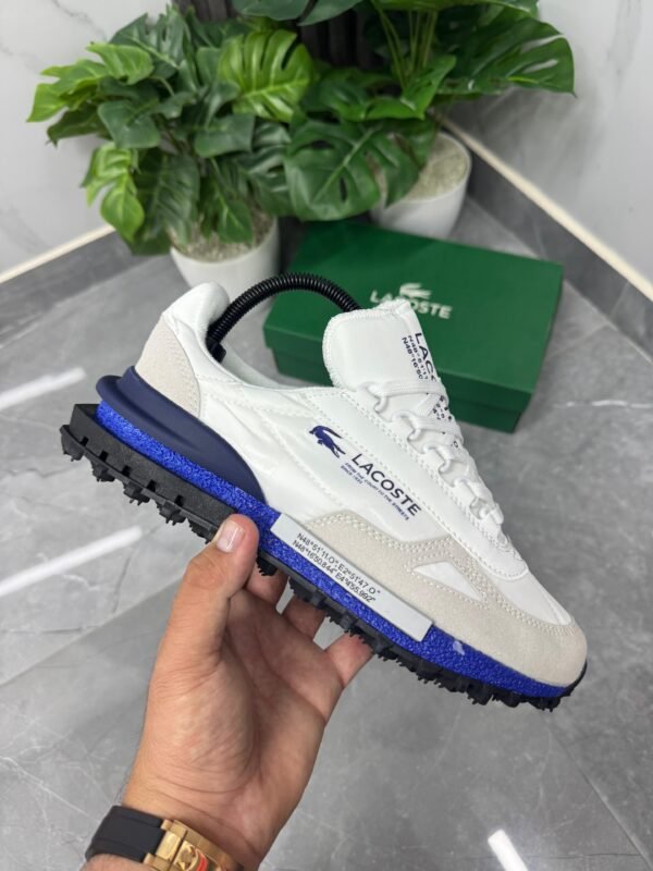 Elite Active Blanca MA